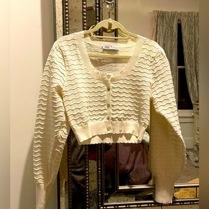 Zara cropped sweater NWOT